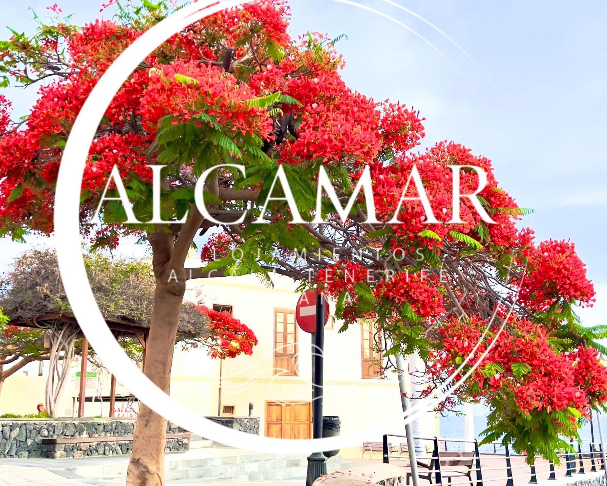Alcalá Alcamar Habitacion Privada Con Las Areas De Sala, Cocina Y Bano Que Se Comparten Cerca Al Mar! מראה חיצוני תמונה